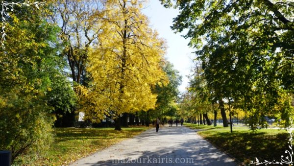 ポーランドワルシャワ旧市街＆ワジェンキ公園黄金の秋