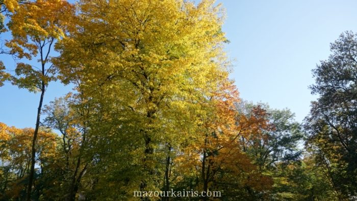 ポーランドワルシャワ黄金の秋の時期ワジェンキ公園