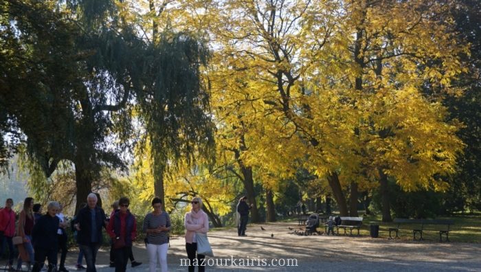 ポーランドワルシャワ黄金の秋の時期ワジェンキ公園