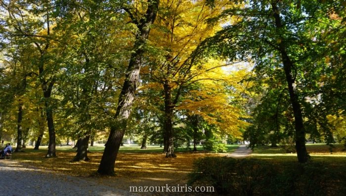 ポーランドワルシャワ黄金の秋の時期ワジェンキ公園