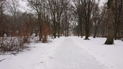 ワルシャワワジェンキ公園