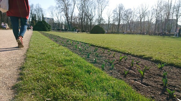 ポーランドワルシャワ観光ワジェンキ公園3月気候