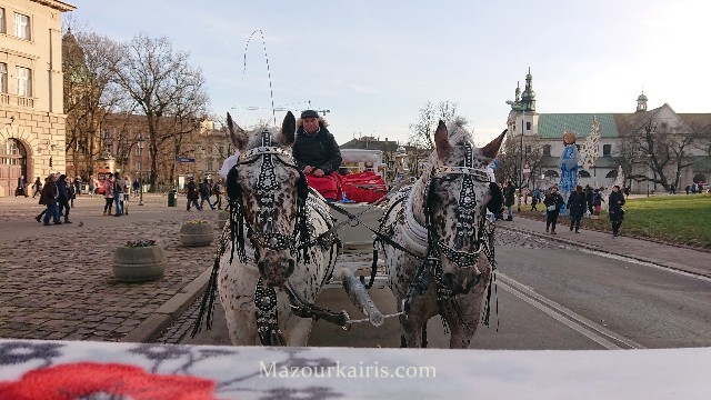 クラクフのクリスマスマーケット2020馬車の料金