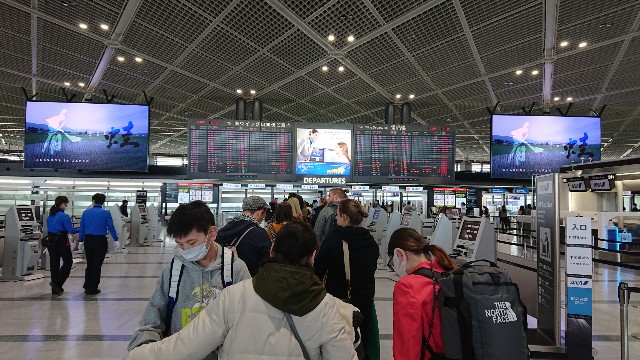 lotdodomuポーランドへのチャーター便