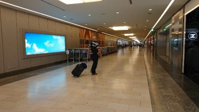 lotdodomuポーランドへのチャーター便