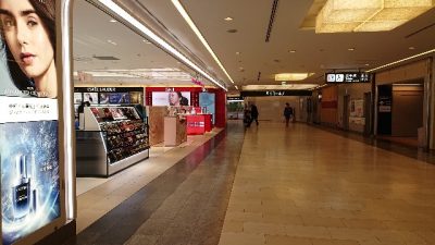 lotdodomuポーランドへのチャーター便