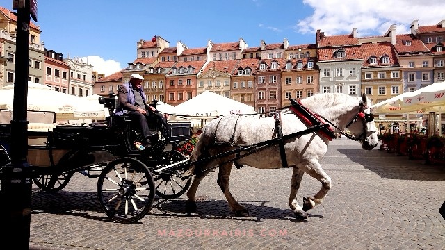 ワルシャワ旧市街夏7月観光馬車