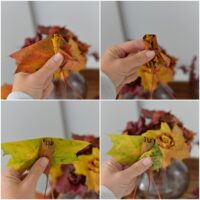 ポーランドの黄金の秋葉っぱのブーケ散歩黄葉紅葉植物kwiaty-z-lisci123