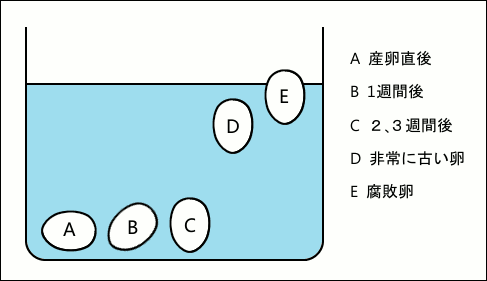 ポーランドの卵の数字の意味