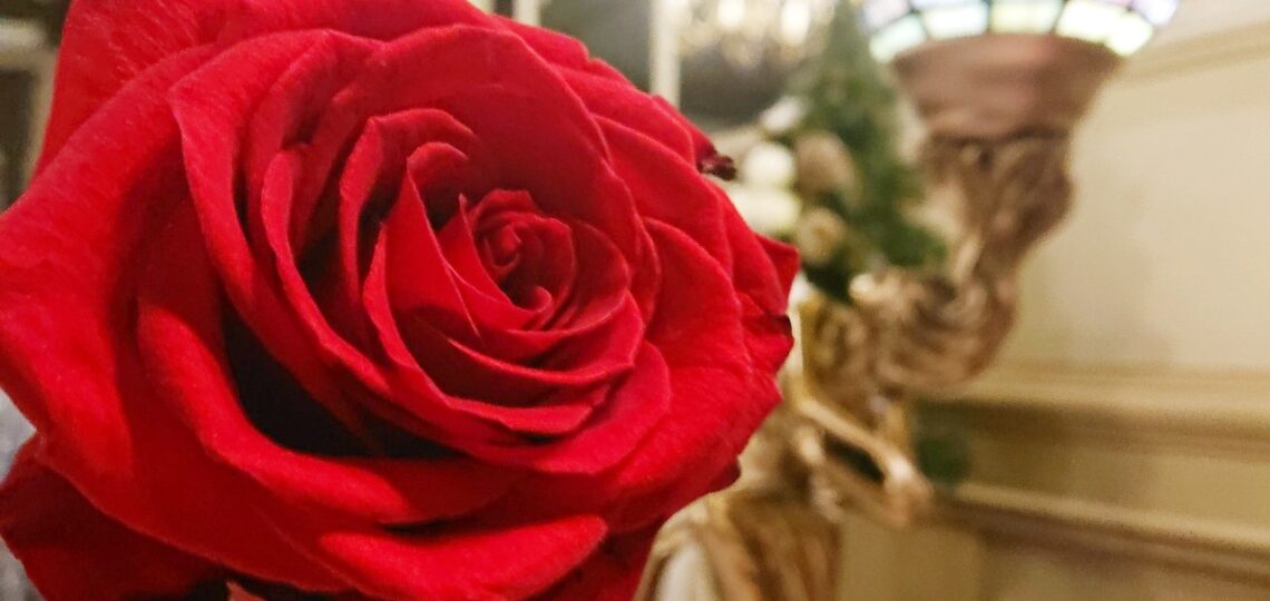 starakamiennicawarszawa-urodziny