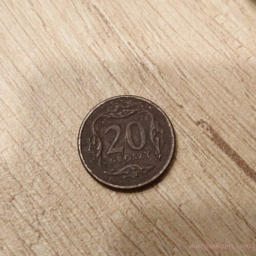 ポーランド日常生活コインをピクルス液で綺麗にする_v7