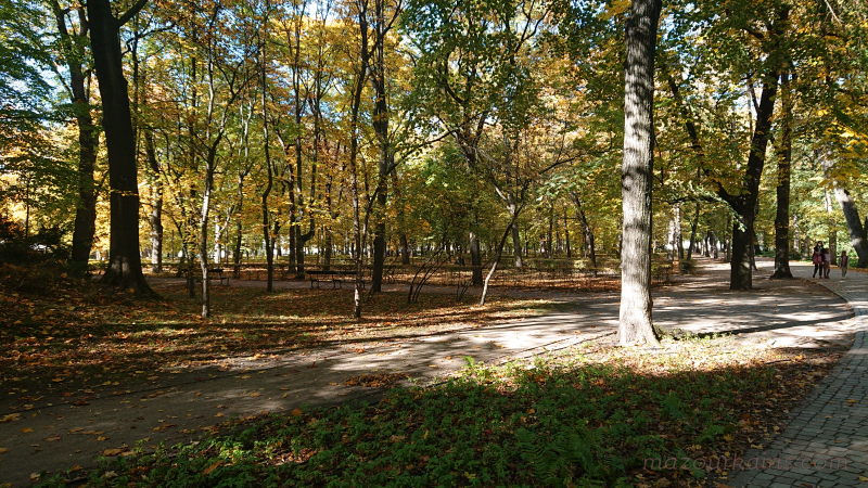 秋のポーランド日常生活ワルシャワ観光ワジェンキ公園孔雀_v14