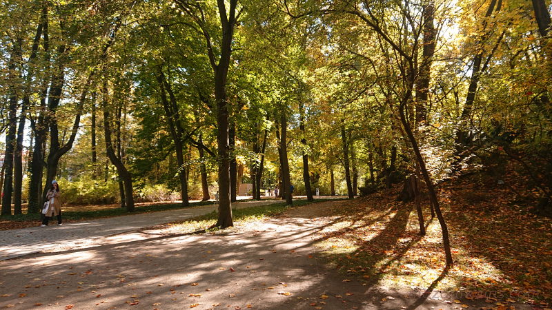秋のポーランド日常生活ワルシャワ観光ワジェンキ公園孔雀_v25