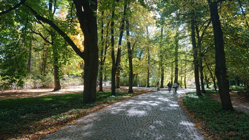 秋のポーランド日常生活ワルシャワ観光ワジェンキ公園