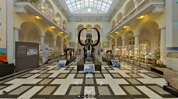 ワルシャワの博物館地質博物館Geological Museum-warsaw