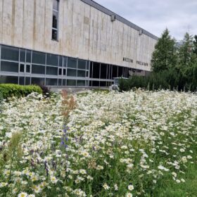 MuzeumPoczątkówPaństwaPolskiegowGnieźnieグニエズノポーランド国家起源博物館