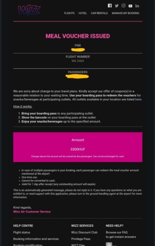 wizzウィズエアー遅延LCCブダペスト空港バウチャーラウンジ